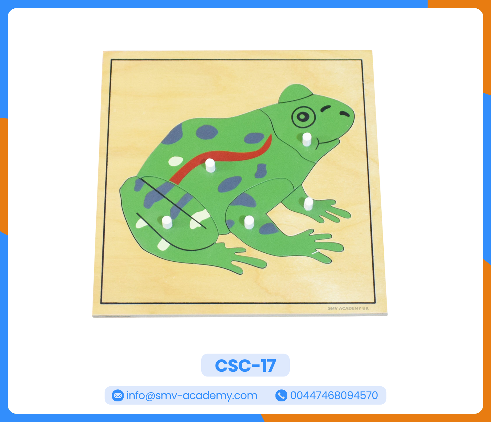 بازل أجزاء الضفدع